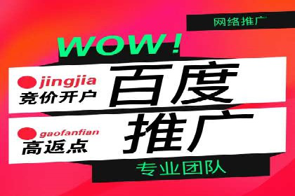 百度竞价广告的创意执行：成功案例详解